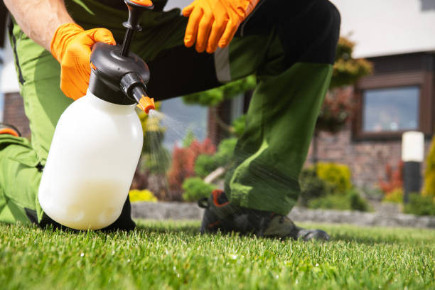 Best Wildlife Control Services  in Fort Carson, CO