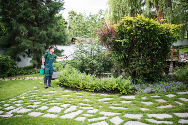 Best Affordable Pest Control Services  in Fort Carson, CO