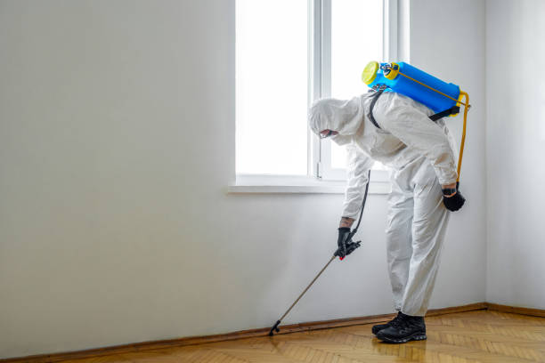 Best Local Pest Control Services  in Fort Carson, CO