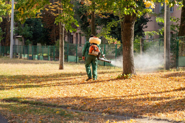 Best Emergency Pest Control  in Fort Carson, CO