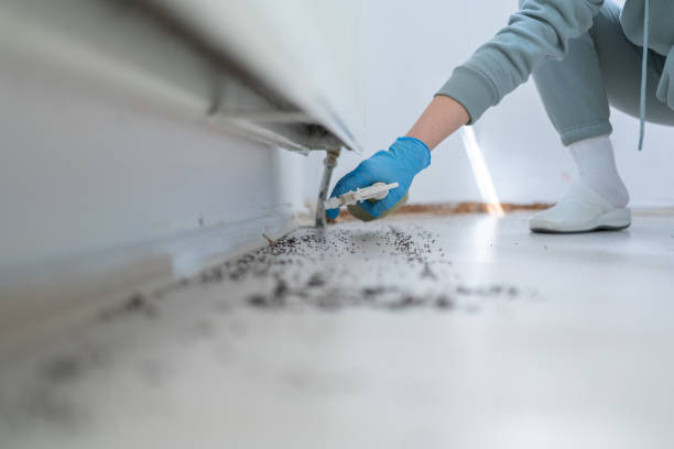 Best Affordable Pest Control Services  in Fort Carson, CO