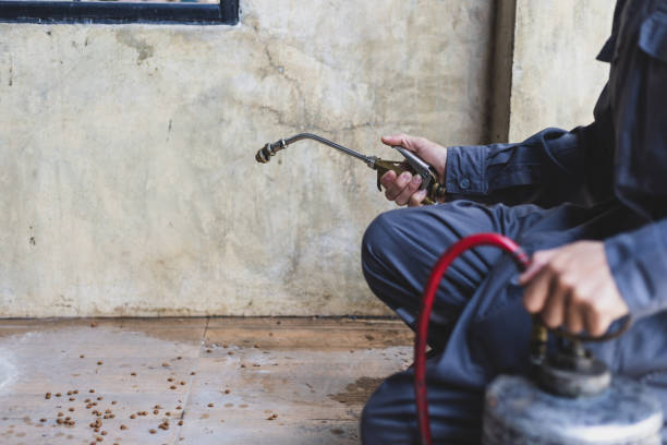 Trusted Fort Carson, CO Pest Control Experts