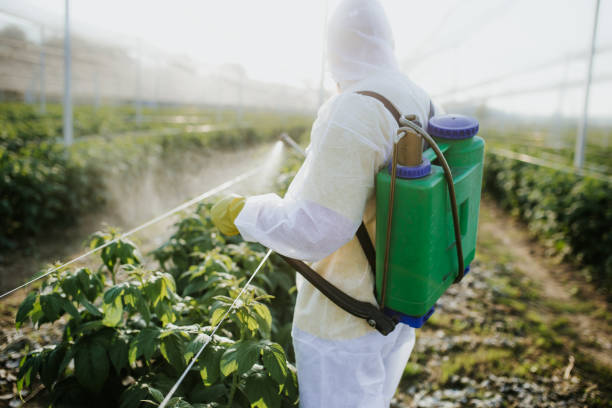 Best Pest Prevention Services  in Fort Carson, CO